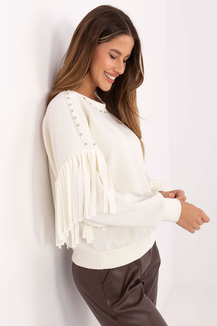 Sweatshirt model 219463 Rue Paris